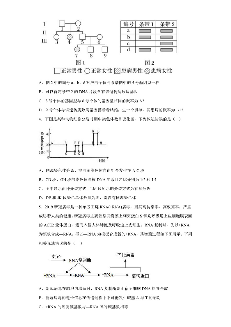 2023年山东省普通高等学校招生全国统一考试全真模拟生物试题第2页