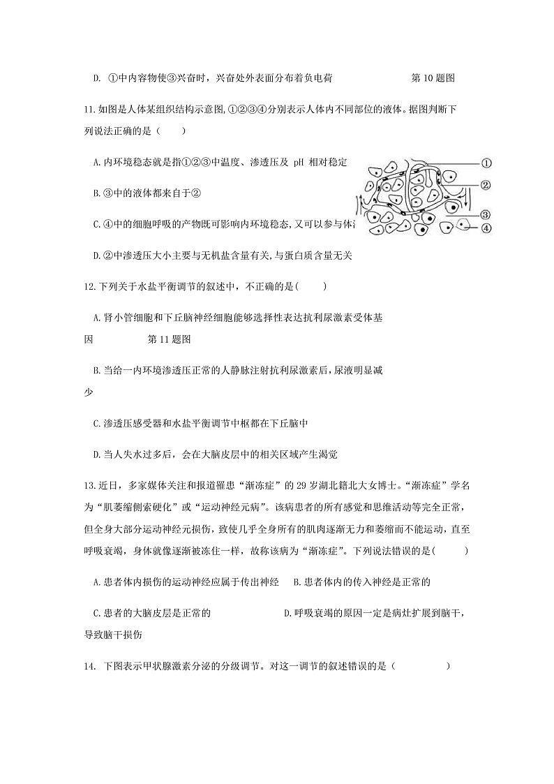 2023宁波北仑中学高二上学期期中检测试题生物含答案03