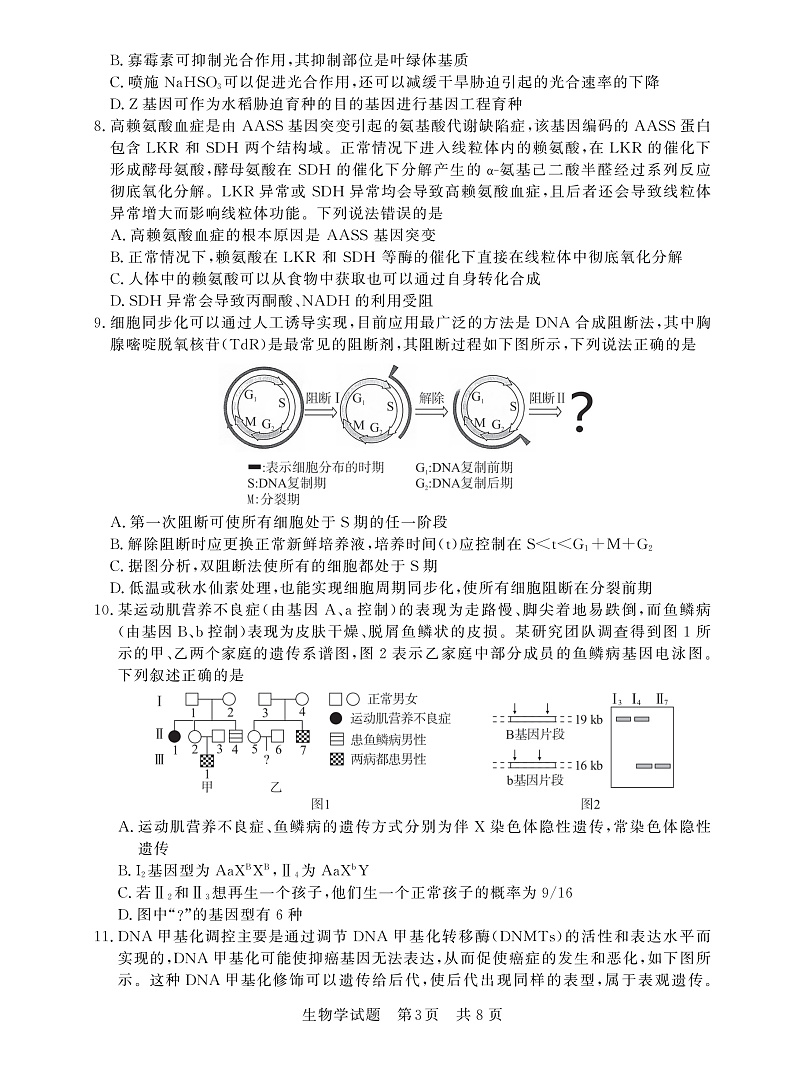 2023八省八校高三第一次学业质量评价(T8联考)生物PDF版含解析 试卷03