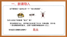 蘇教版小學科學四下第三單元《9.龐大的家族》課件+教案+作業(yè)+視頻