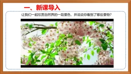蘇教版小學(xué)科學(xué)四下第五單元《15.生物與非生物》課件+教案+作業(yè)+視頻