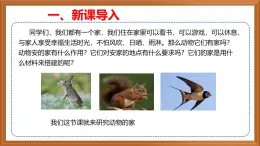 蘇教版小學(xué)科學(xué)四下第五單元《16.動(dòng)物的庇護(hù)所》課件+教案+作業(yè)+視頻