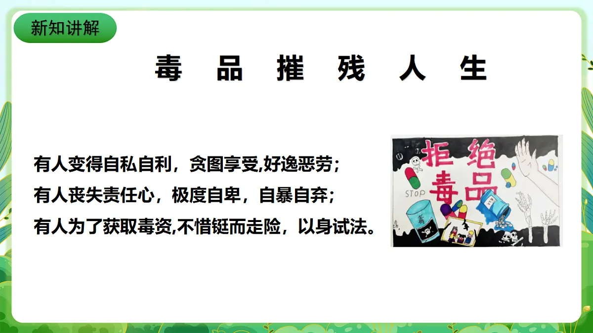 川教版生命生态安全九年级下册2《毒品的危害》 课件第8页
