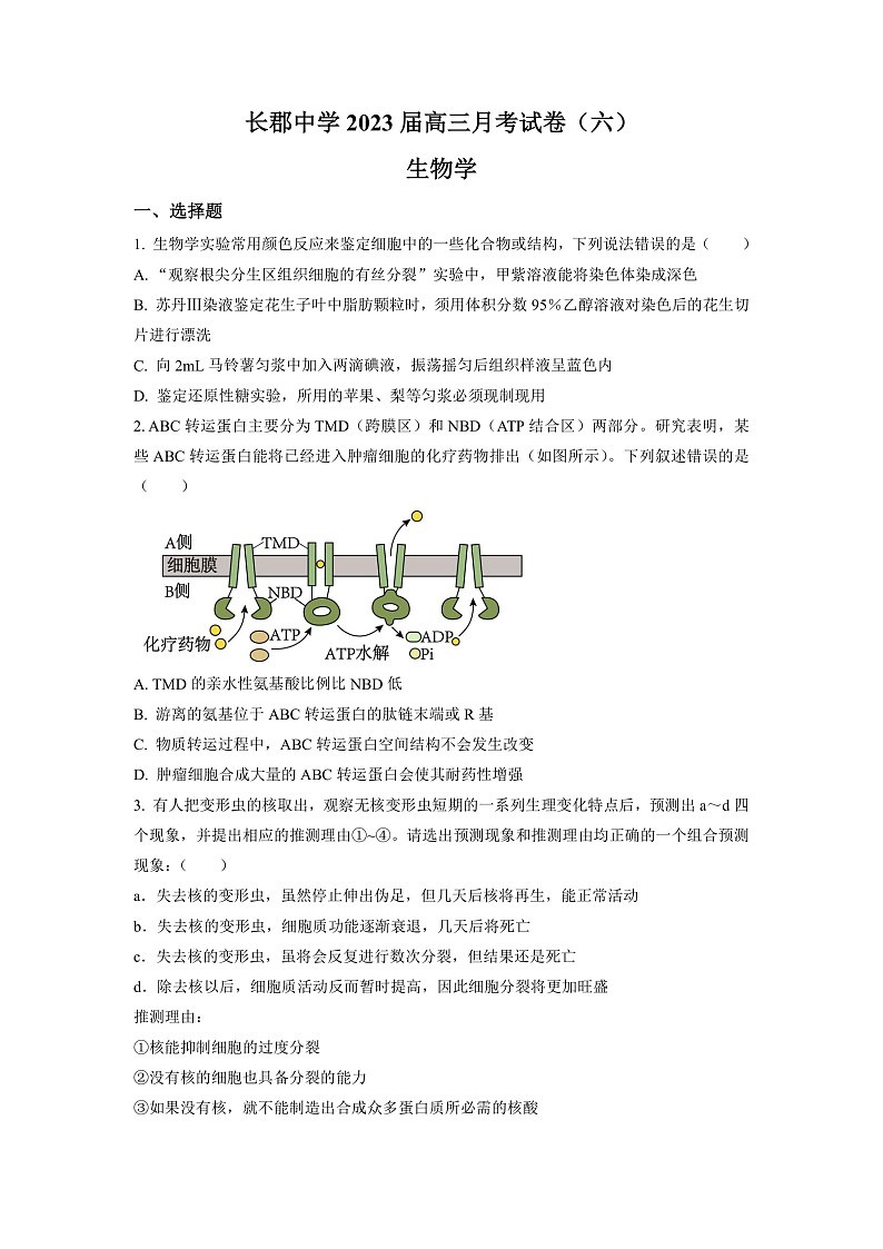 湖南省长沙市长郡中学2023届高三月考(六)生物试题(原卷版)第1页