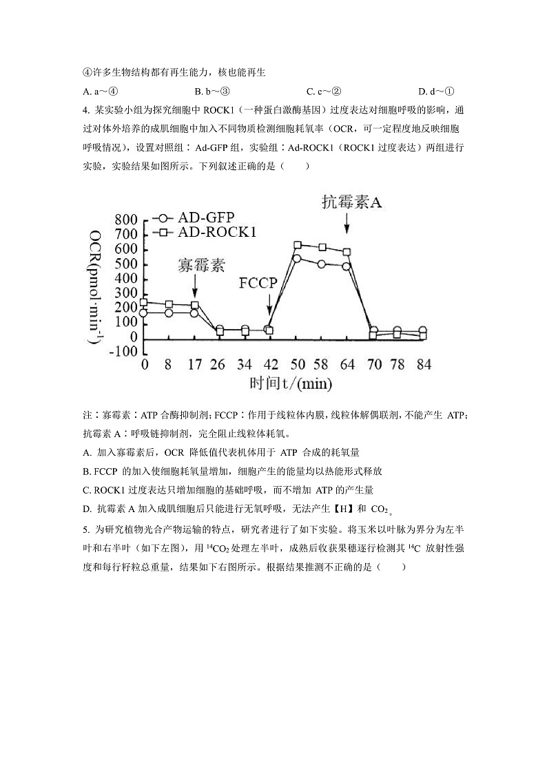 湖南省长沙市长郡中学2023届高三月考(六)生物试题(原卷版)第2页