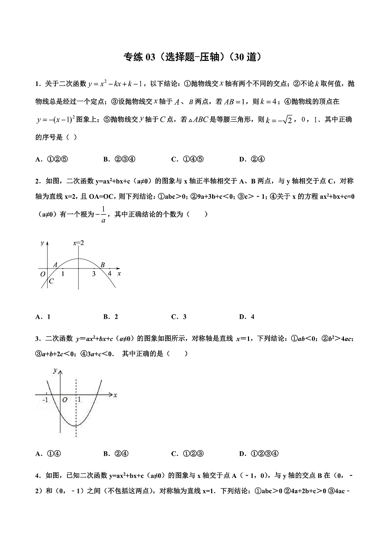 专练03(选择题-压轴)中考数学考点必刷题(原卷版)第1页