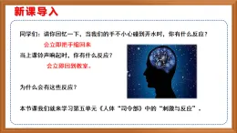 蘇教版小學(xué)科學(xué)五上第五單元《17 刺激與反應(yīng)》課件+教案+專業(yè)+視頻素材