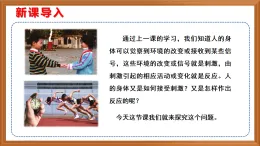 蘇教版小學(xué)科學(xué)五上第五單元《18 從刺激到反應(yīng)》課件+教案+作業(yè)+視頻素材