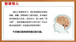 蘇教版小學(xué)科學(xué)五上第五單元《19 我們的大腦》課件+教案+作業(yè)+視頻素材