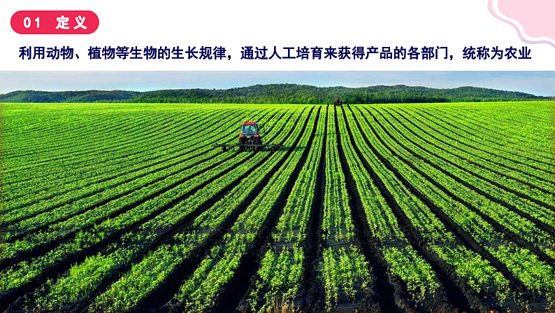 4.1稳步增长的农业(课件+同步训练)04