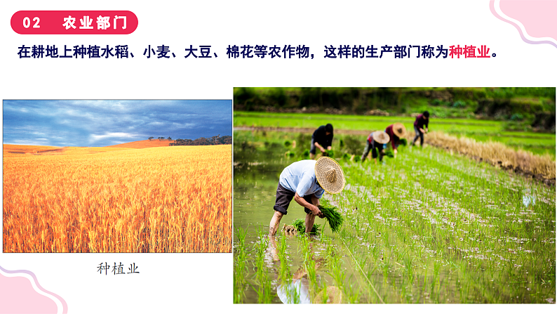 4.1稳步增长的农业(课件+同步训练)06