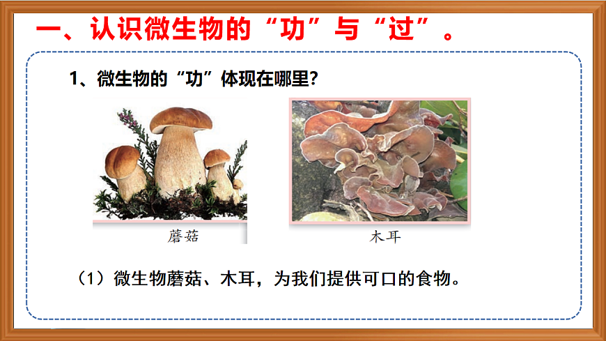 蘇教版小學(xué)科學(xué)五年級下冊第一單元《4 微生物的“功”與“過》課件+作業(yè)設(shè)計+視頻第4頁