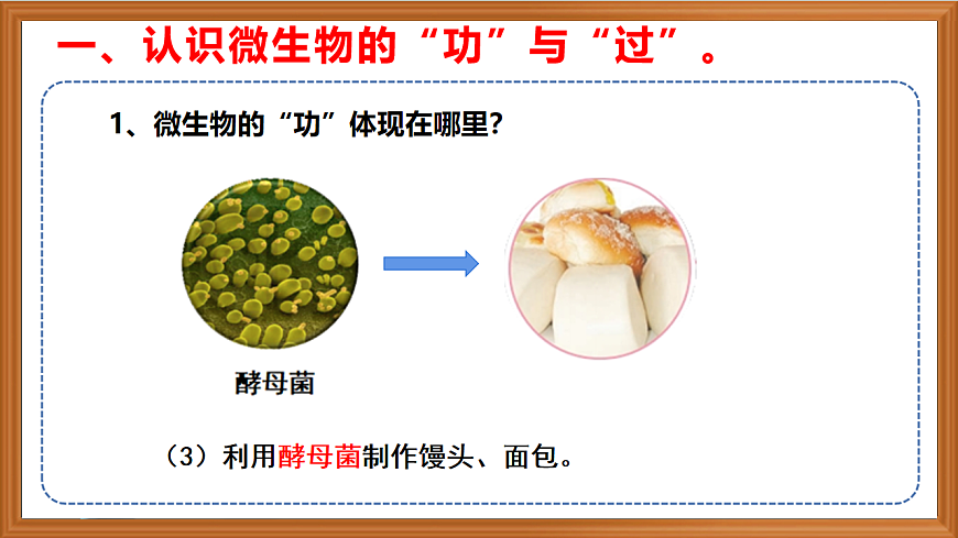 蘇教版小學(xué)科學(xué)五年級下冊第一單元《4 微生物的“功”與“過》課件+作業(yè)設(shè)計+視頻第6頁