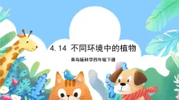 青島版科學四年級下冊4.14《不同環(huán)境中的植物》課件+教案+練習（含答案）+素材