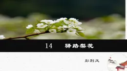 14《驛路梨花》教學(xué)課件-同步教學(xué)統(tǒng)編版語文七年級(jí)下冊(cè)名師備課系列