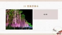 19《紫藤蘿瀑布》教學(xué)課件-同步教學(xué)統(tǒng)編版語文七年級(jí)下冊(cè)名師備課系列