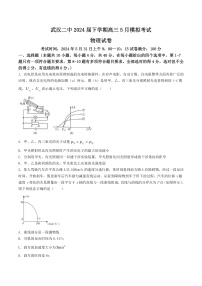 2024届湖北省武汉市第二中学高三下学期5月模拟考物理试题（Word版）