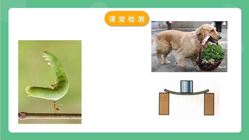 苏科版物理八年级下册 8.1 力+弹力 课件+练习07
