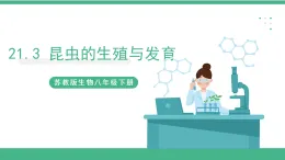 蘇教版生物八年級下冊 21.3昆蟲的生殖與發(fā)育 課件