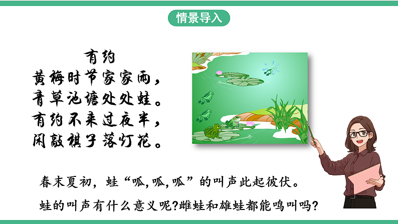 苏教版生物八年级下册 21.4两栖类的生殖与发育 课件第3页