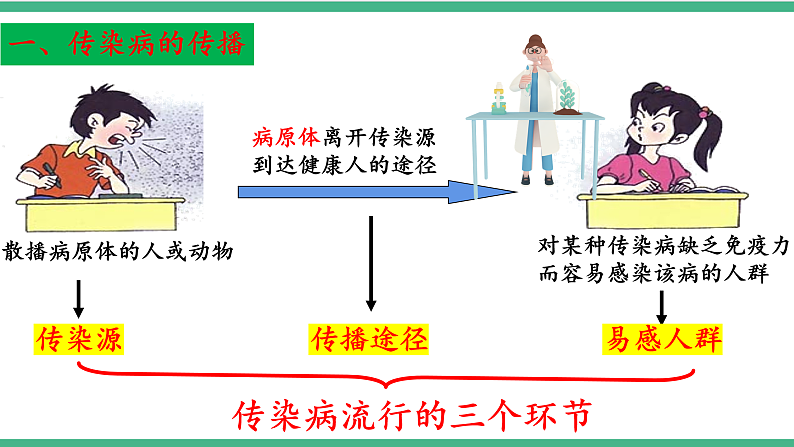 苏教版生物八年级下册 25.1传染病(第二课时) 课件第8页