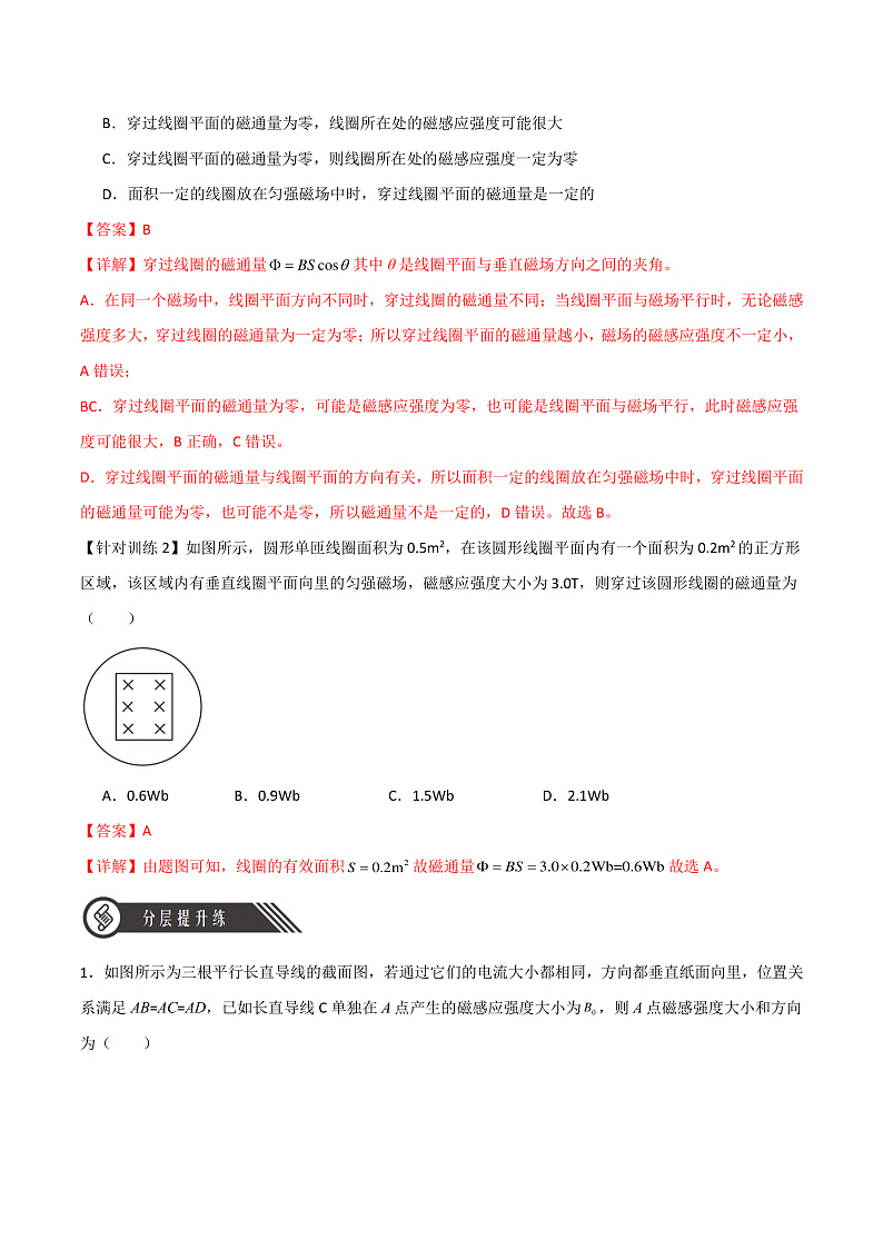 13.2磁感应强度 磁通量(分层练习)(解析版)-人教版2019物理必修第三册第2页