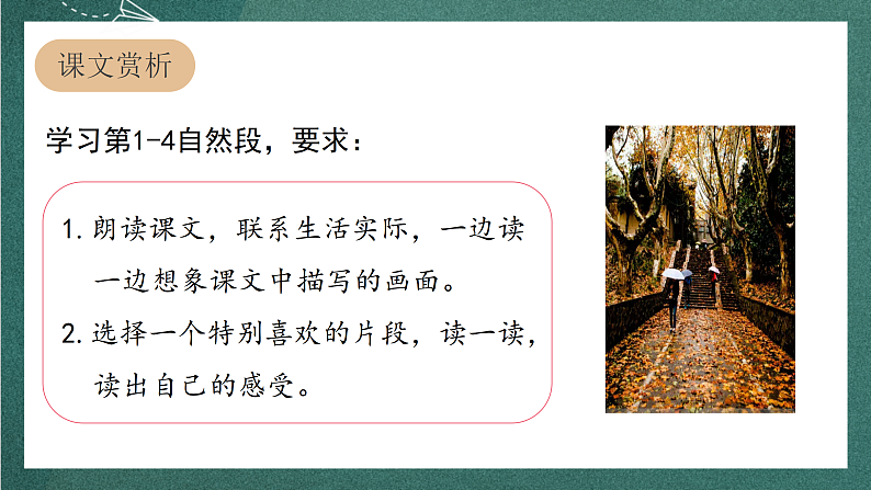 人教部编版语文三上5《铺满金色巴掌的水泥道》 第2课时 课件+教案05