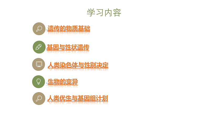 4.4.生物的遗传和变异 复习课件 --2024年初中秋季济南版生物八年级上册第2页