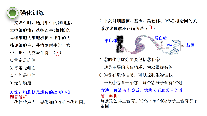 4.4.生物的遗传和变异 复习课件 --2024年初中秋季济南版生物八年级上册第6页