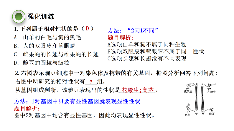 4.4.生物的遗传和变异 复习课件 --2024年初中秋季济南版生物八年级上册第8页