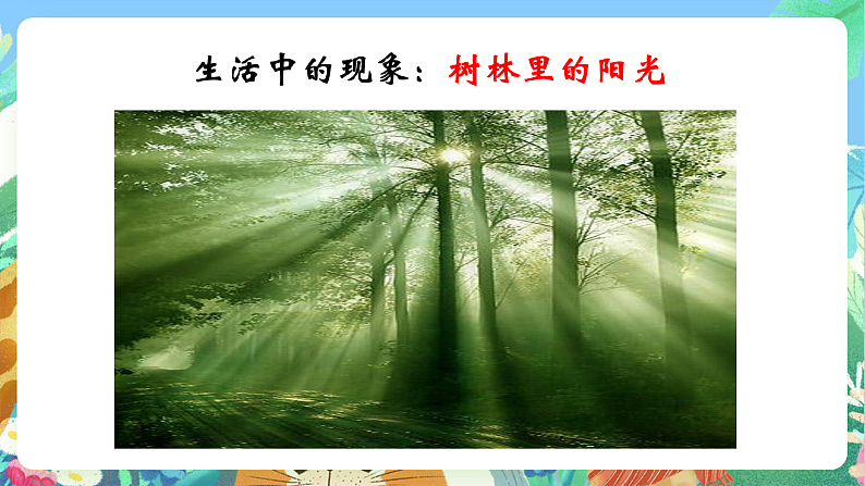 教科版科学五年级上册1.2《光是怎样传播的》课件第8页