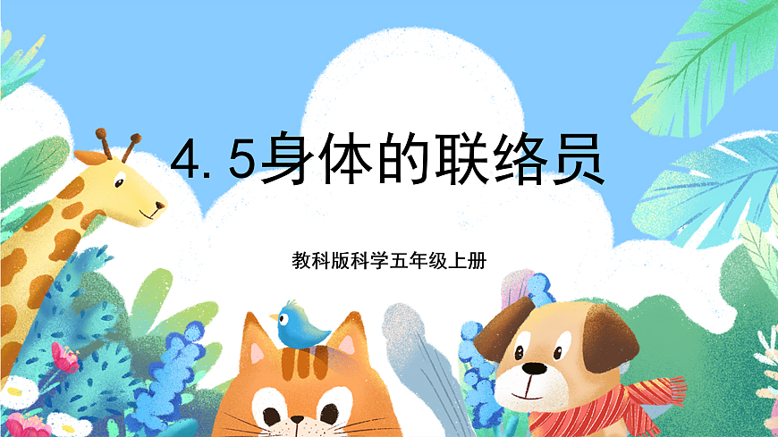 教科版科學(xué)五年級(jí)上冊(cè)4.5《身體的聯(lián)絡(luò)員》課件第1頁(yè)