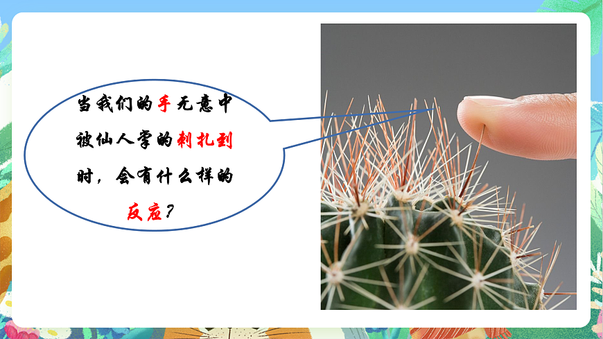 教科版科學(xué)五年級(jí)上冊(cè)4.5《身體的聯(lián)絡(luò)員》課件第4頁(yè)