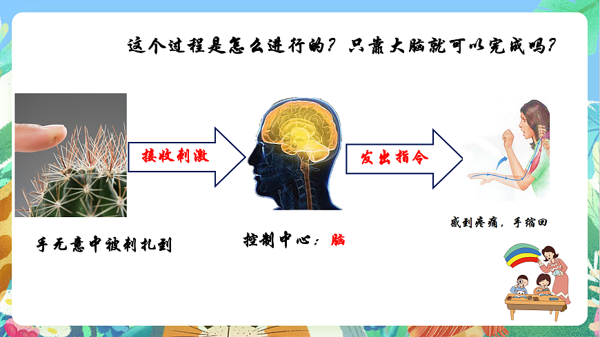 教科版科學(xué)五年級(jí)上冊(cè)4.5《身體的聯(lián)絡(luò)員》課件第6頁(yè)