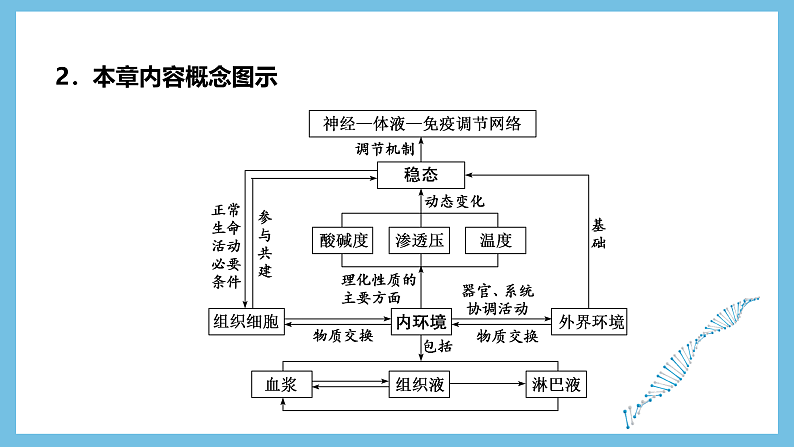 人教版高二生物选择性必修一 第1章 《人体的内环境与稳态》复习课件第4页