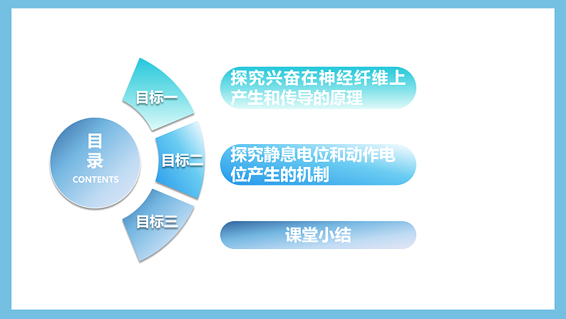 人教版高二生物选择性必修一 2.3.1 《兴奋在神经纤维上的传导》课件03