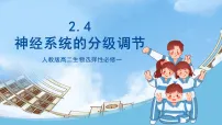高中生物人教版 (2019)选择性必修1第4节 神经系统的分级调节精品ppt课件