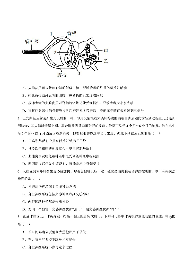 人教版高二生物选择性必修一 2.4 《神经系统的分级调节》分层练习(原卷+解析卷)02