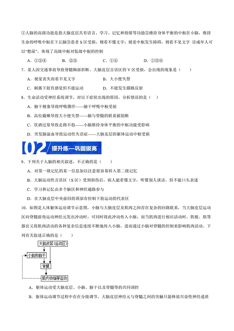人教版高二生物选择性必修一 2.5 《人脑的高级功能》分层练习(原卷版)第2页