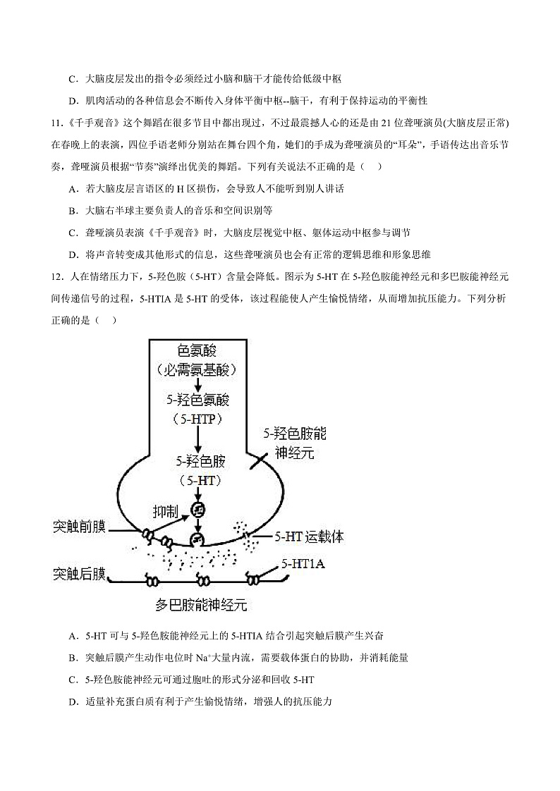 人教版高二生物选择性必修一 2.5 《人脑的高级功能》分层练习(原卷版)第3页