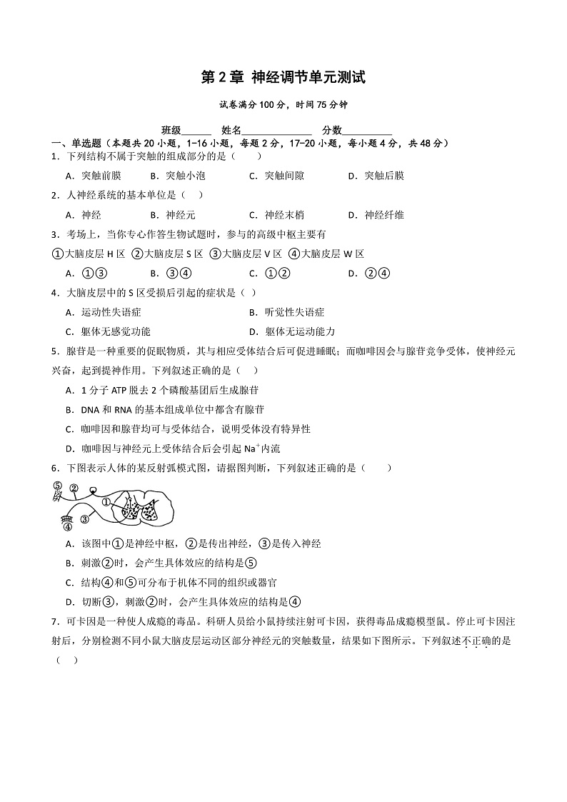 人教版高二生物选择性必修一 第2章 《神经调节》分层练习(原卷+解析卷)01