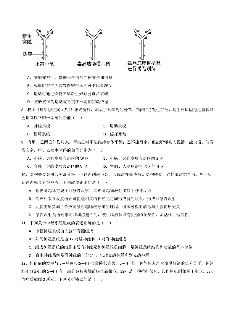 人教版高二生物选择性必修一 第2章 《神经调节》分层练习(原卷+解析卷)02