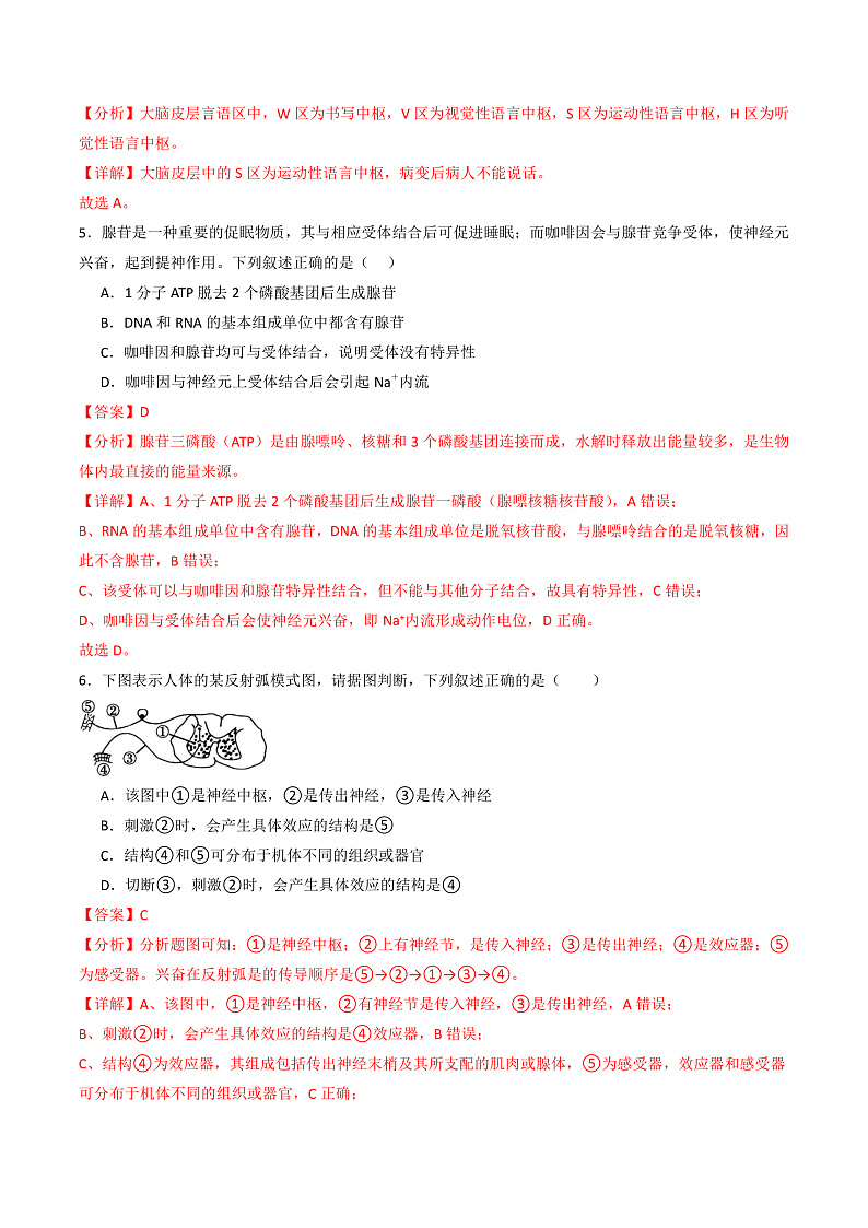 人教版高二生物选择性必修一 第2章 《神经调节》分层练习(原卷+解析卷)02
