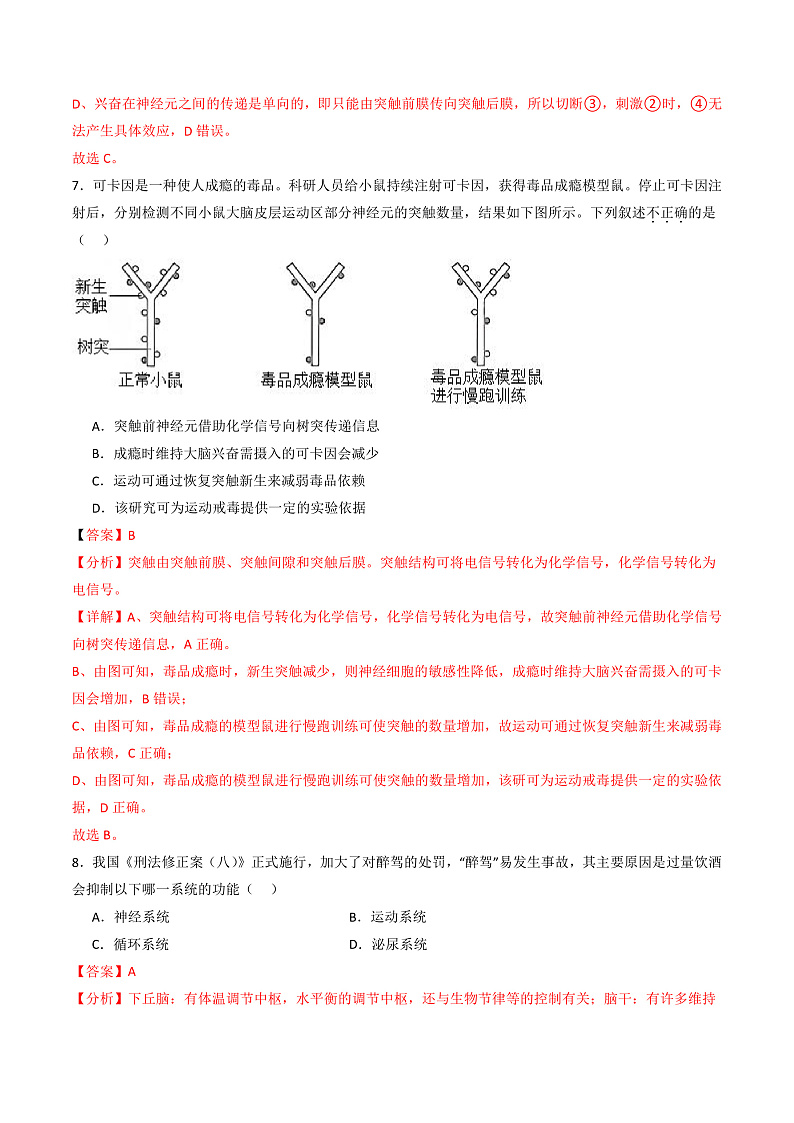 人教版高二生物选择性必修一 第2章 《神经调节》分层练习(原卷+解析卷)03