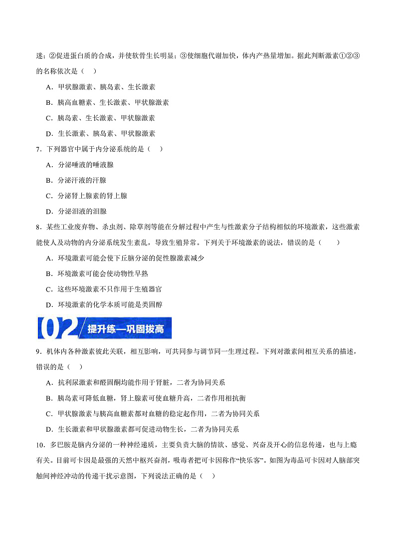 人教版高二生物选择性必修一 3.1.2 《内分泌系统的组成和功能》分层练习(原卷+解析卷)02