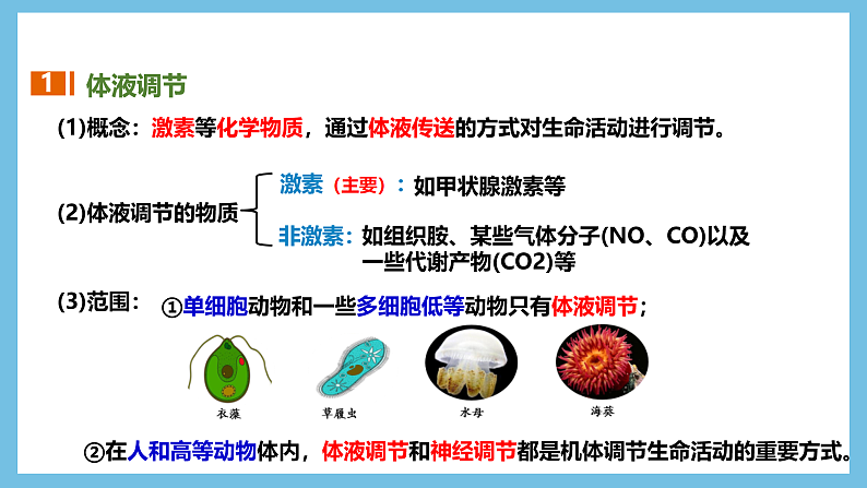 人教版高二生物选择性必修一 3.3.1 《体液调节与神经调节的比较和体温调节》课件06