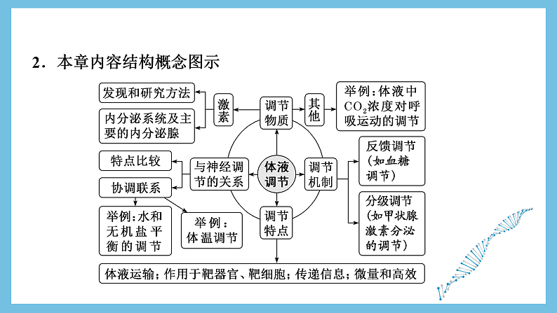 人教版高二生物选择性必修一 第3章 《体液调节》复习课件04