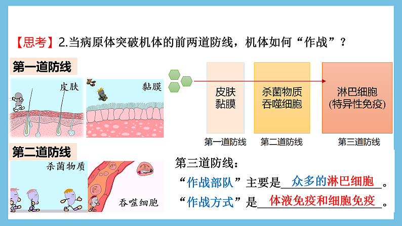 人教版高二生物选择性必修一 4.2.1 《体液免疫》课件08