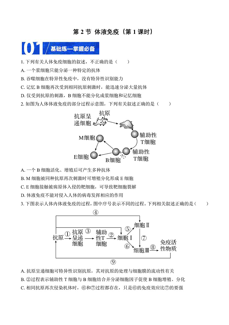 人教版高二生物选择性必修一 4.2.1 《体液免疫》分层练习(原卷+解析卷)01