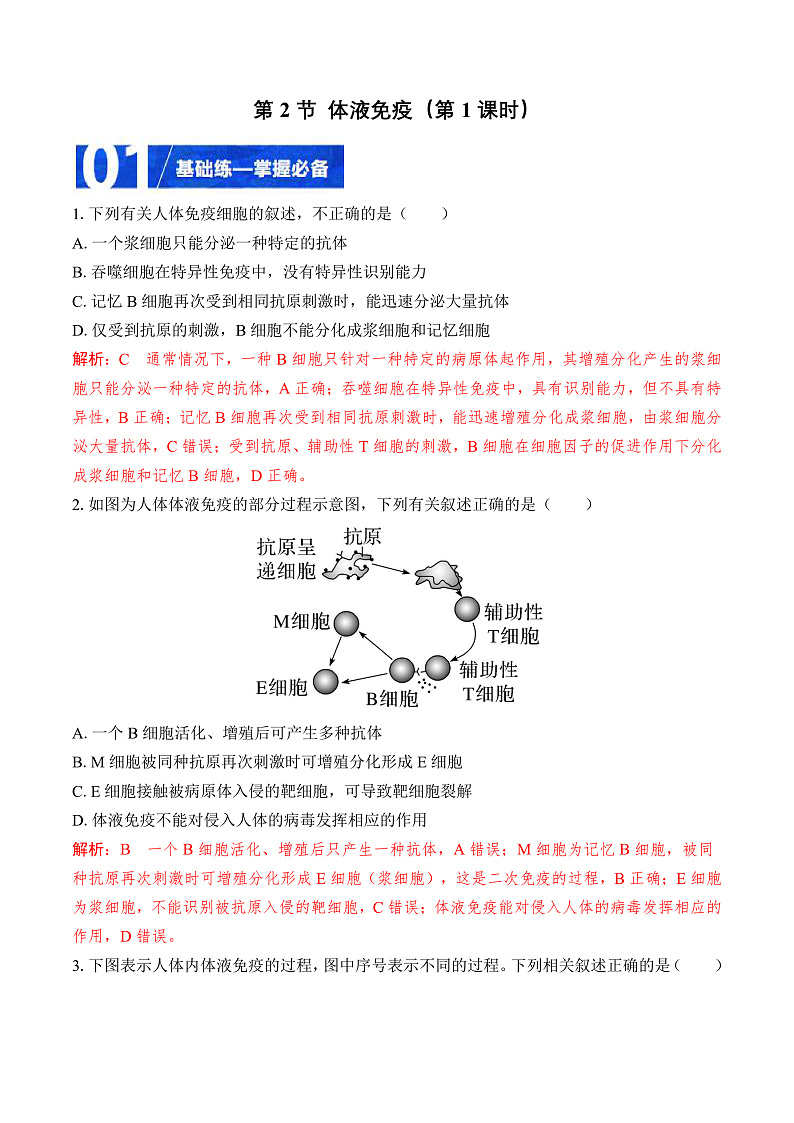 人教版高二生物选择性必修一 4.2.1 《体液免疫》分层练习(原卷+解析卷)01